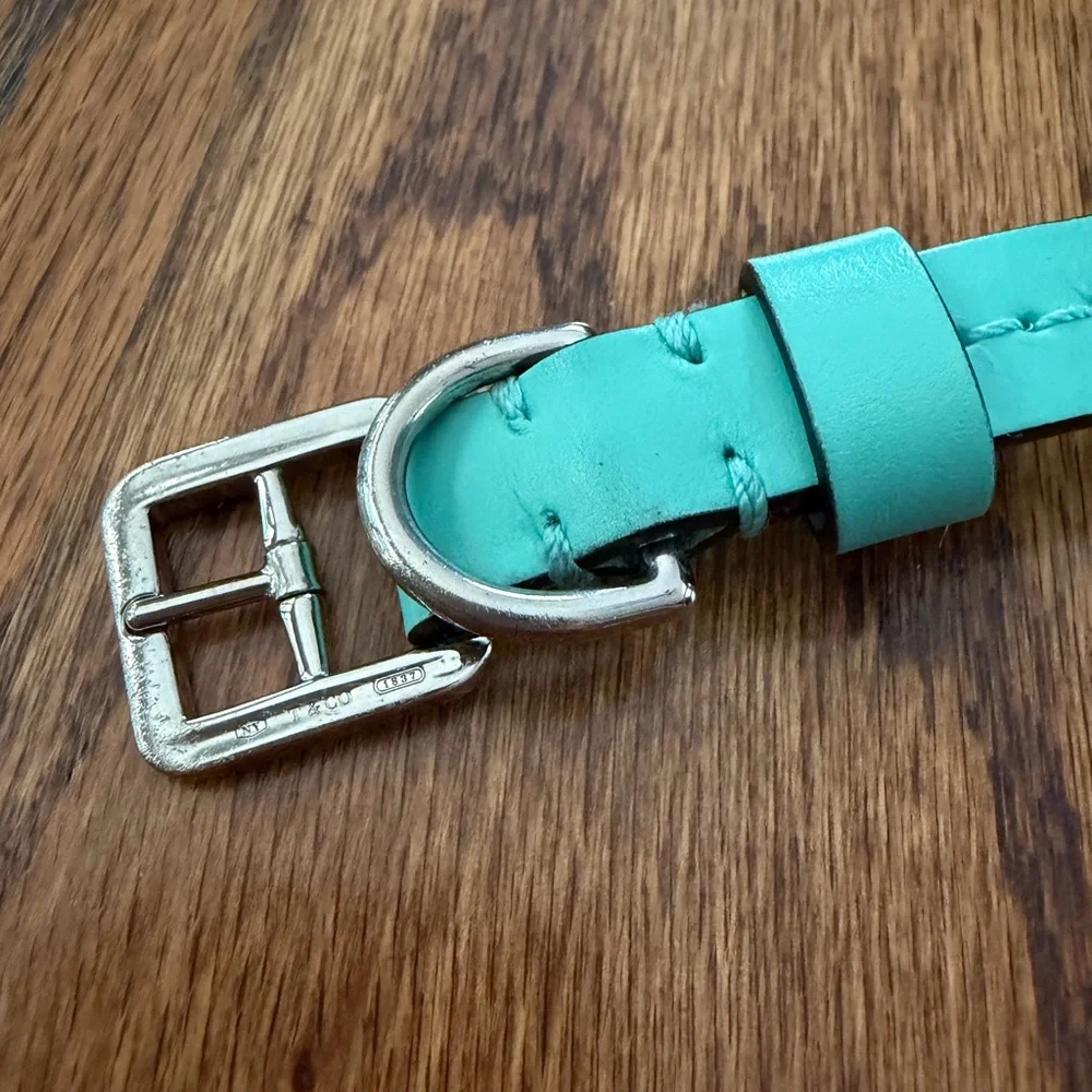 Tiffany & Co. Leather Pet Collar with Signature Return Plate - Size Small
